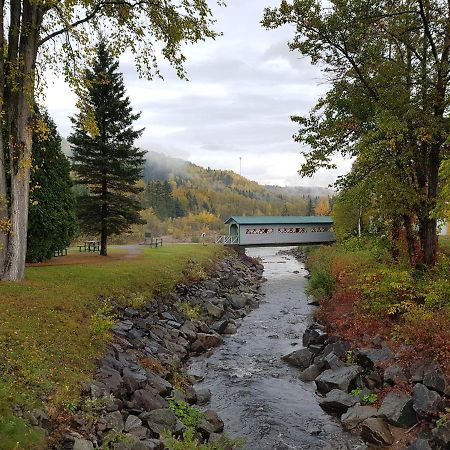 Condo-Chalet De La Vallee D'Edouard LʼAnse-Saint-Jean المظهر الخارجي الصورة