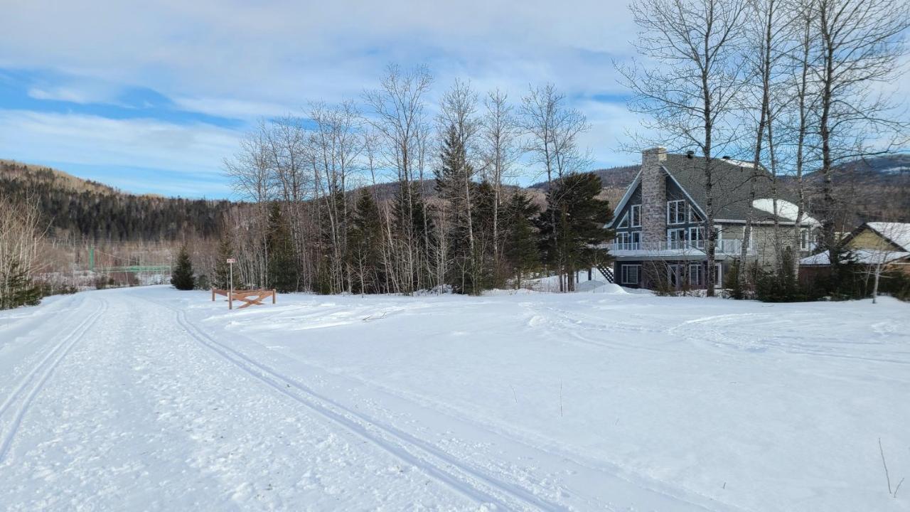 Condo-Chalet De La Vallee D'Edouard LʼAnse-Saint-Jean المظهر الخارجي الصورة