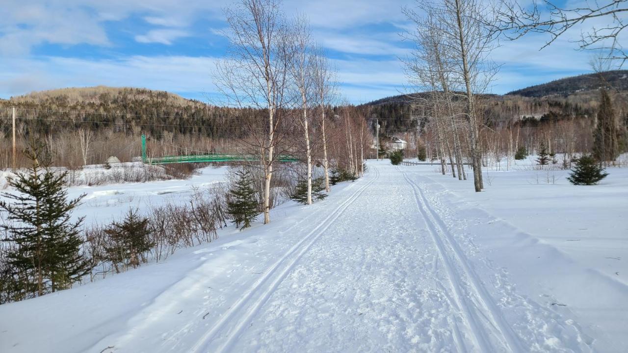 Condo-Chalet De La Vallee D'Edouard LʼAnse-Saint-Jean المظهر الخارجي الصورة