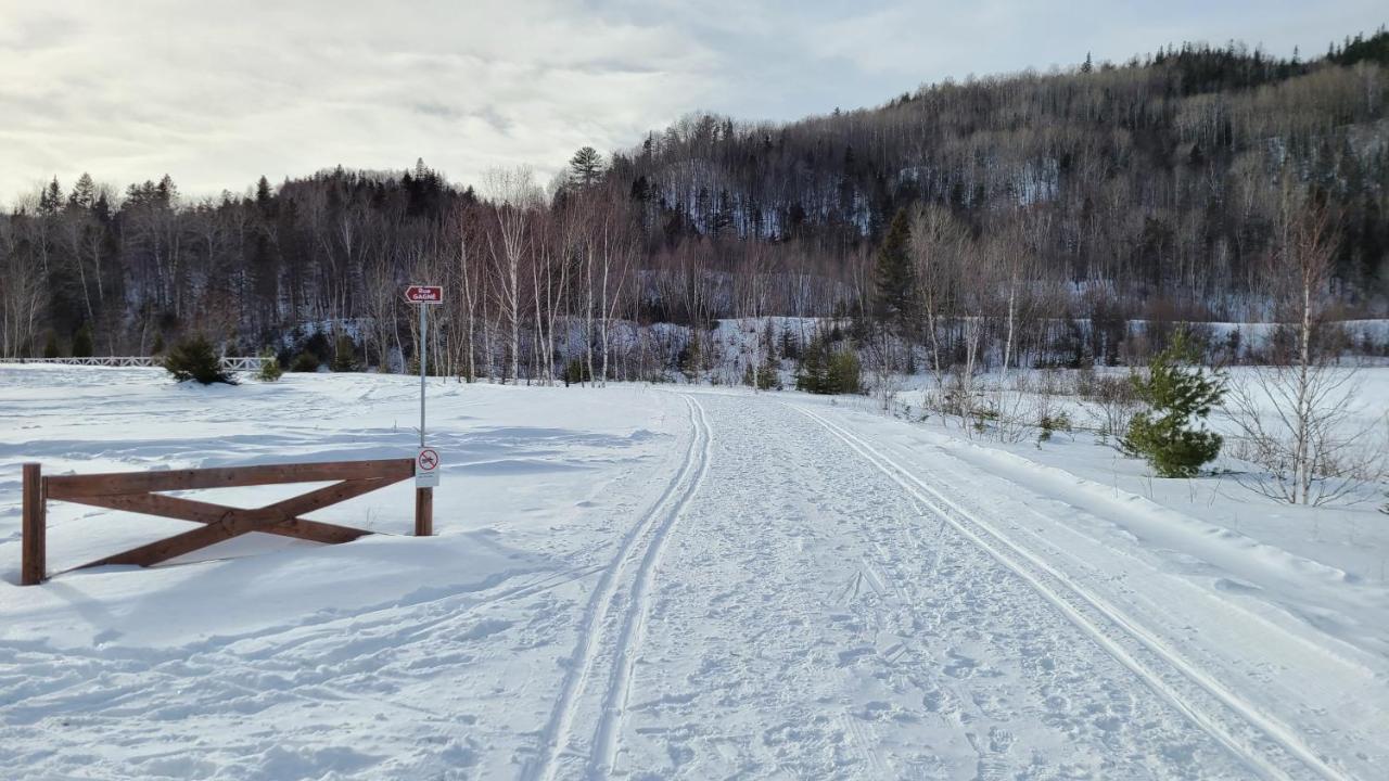 Condo-Chalet De La Vallee D'Edouard LʼAnse-Saint-Jean المظهر الخارجي الصورة