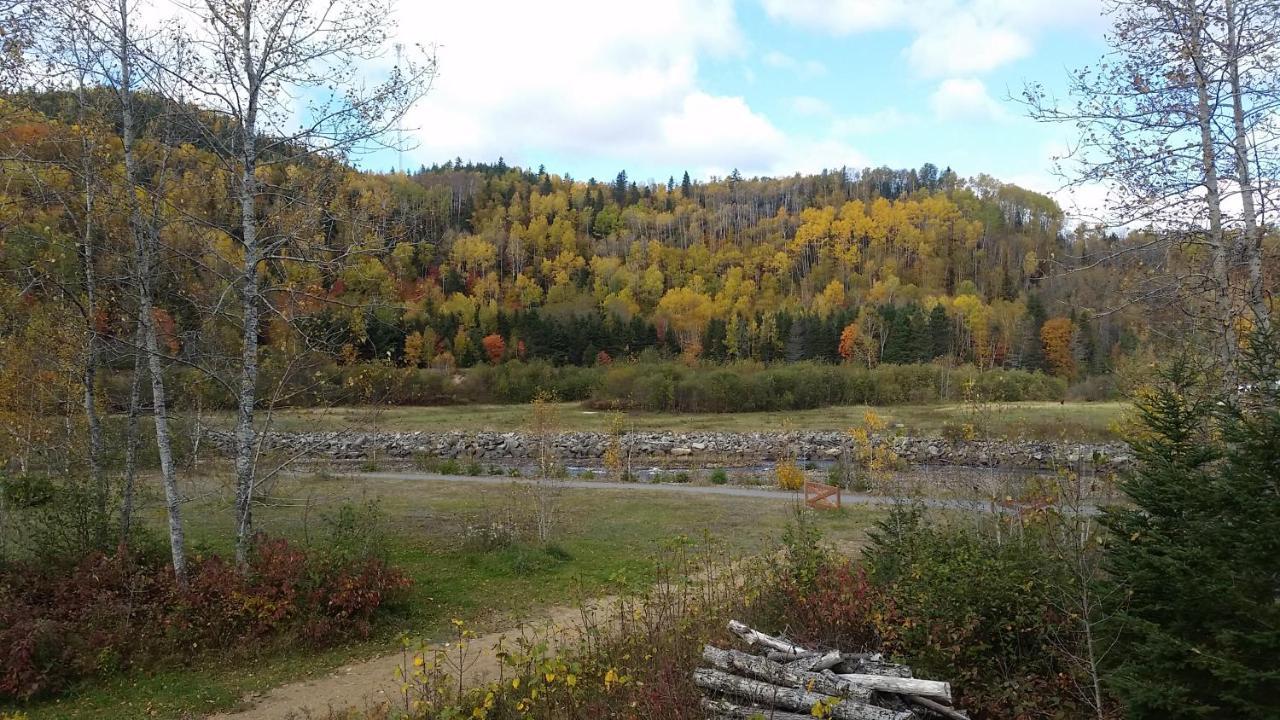 Condo-Chalet De La Vallee D'Edouard LʼAnse-Saint-Jean المظهر الخارجي الصورة
