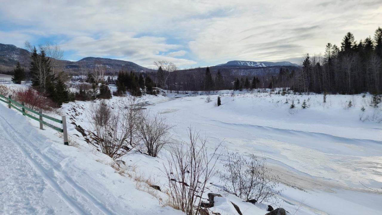 Condo-Chalet De La Vallee D'Edouard LʼAnse-Saint-Jean المظهر الخارجي الصورة