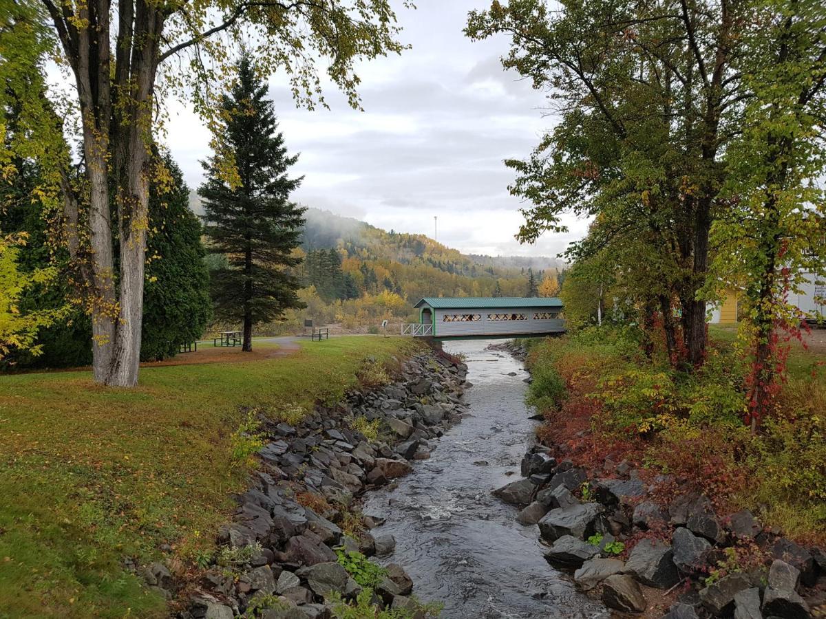Condo-Chalet De La Vallee D'Edouard LʼAnse-Saint-Jean المظهر الخارجي الصورة